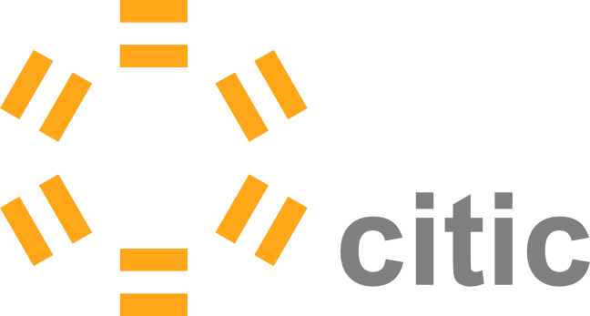 Grupo LYS - CITIC